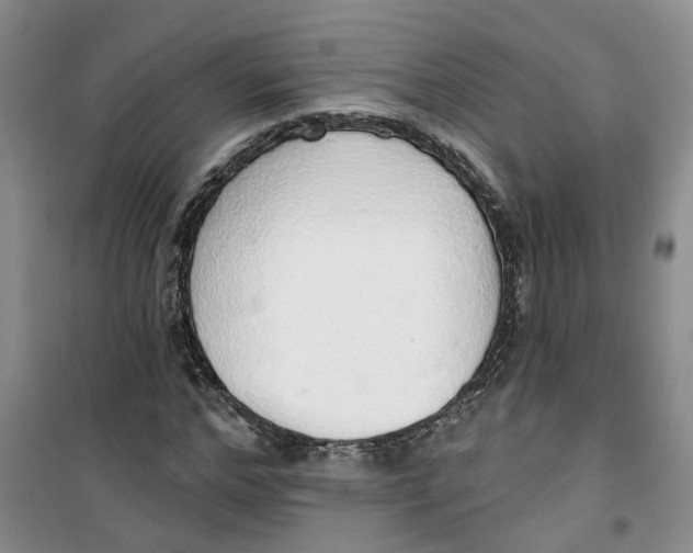 X0000100960968200807221141