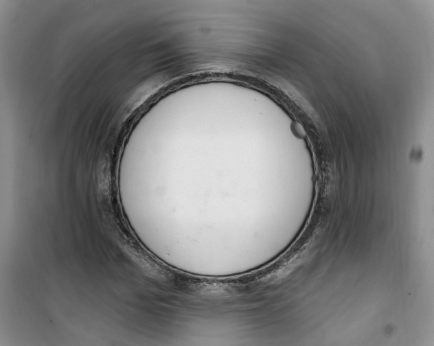 X0000100960969200807221141