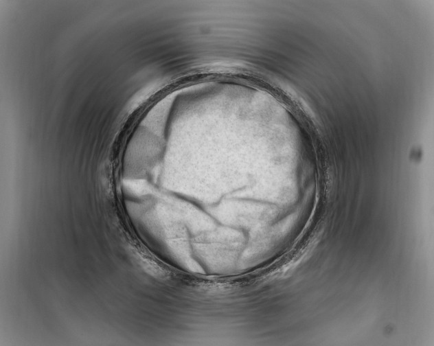 X0000100960970200807221141