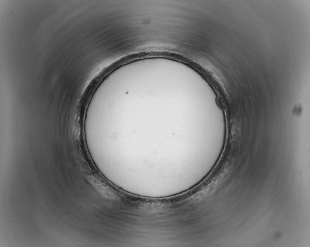 X0000100960973200807221141