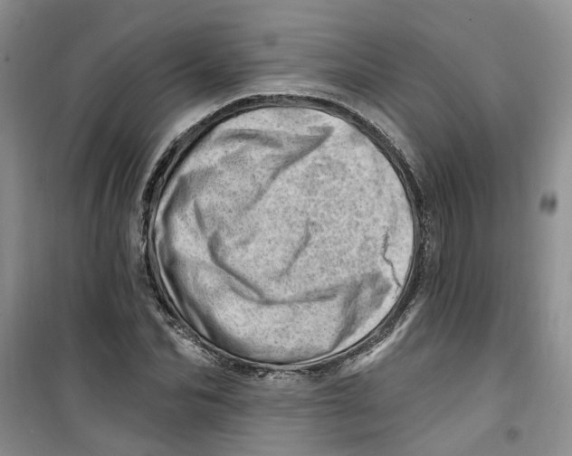 X0000100960974200807221141