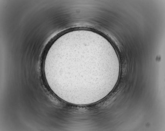 X0000100960975200807221141