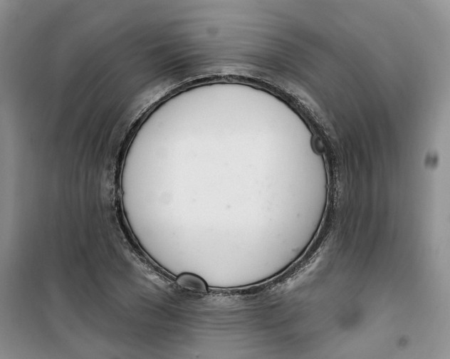 X0000100960977200807221141