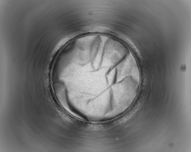 X0000100960978200807221141