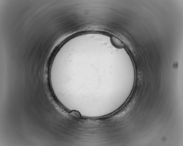 X0000100960981200807221141