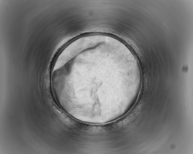 X0000100960982200807221141