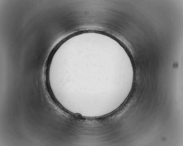 X0000100960983200807221141