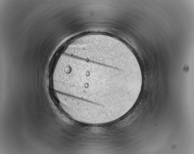 X0000100960984200807221141