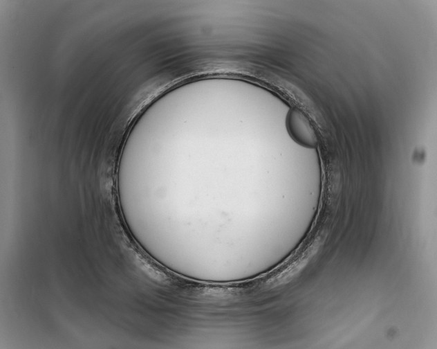 X0000100960985200807221141