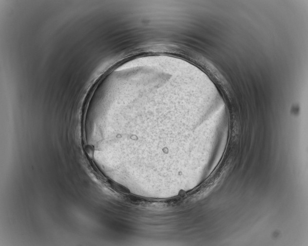 X0000100960986200807221141