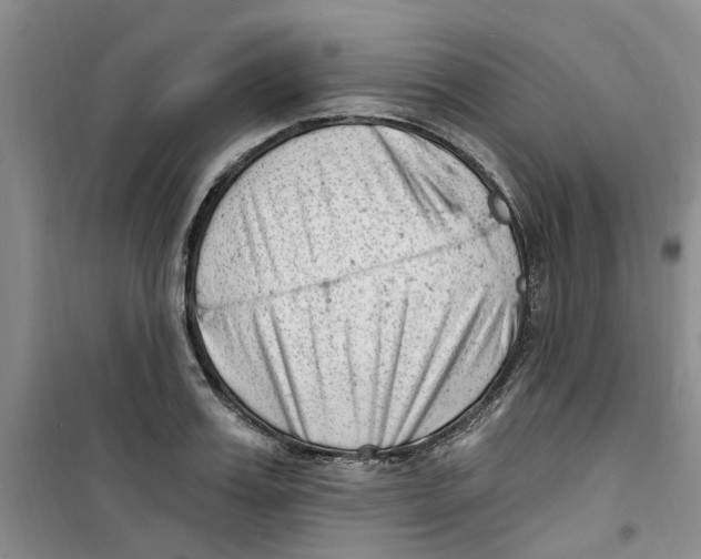 X0000100960987200807221141