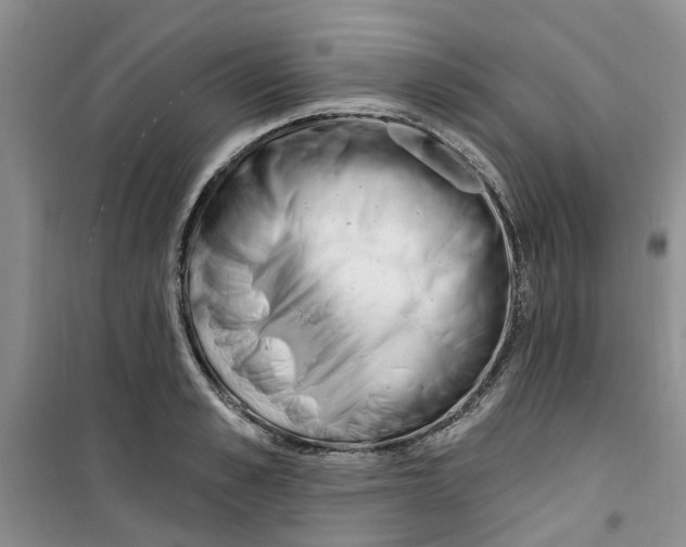 X0000100960989200807221140