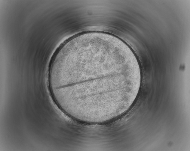 X0000100960992200807221140