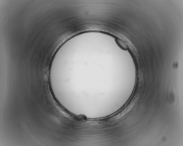 X0000100960993200807221140