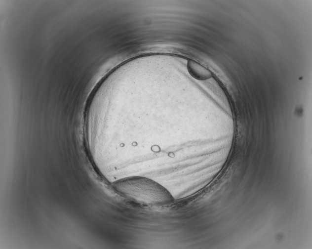 X0000100960994200807221140