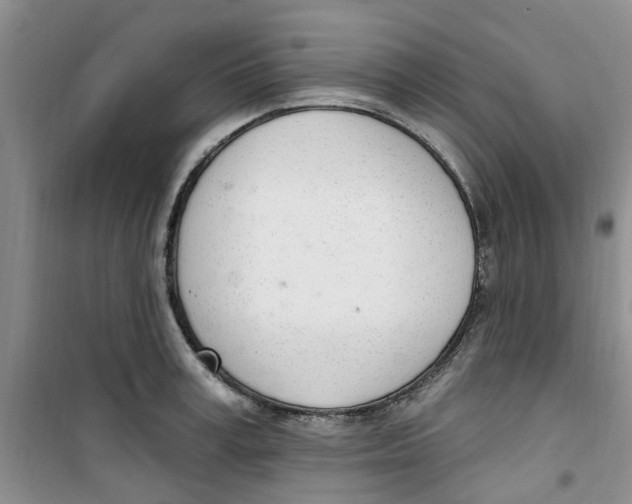 X0000100960995200807221140