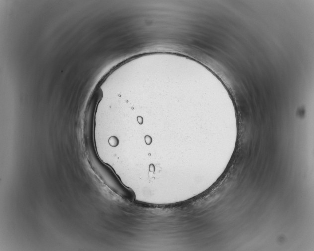 X0000100960996200807221140