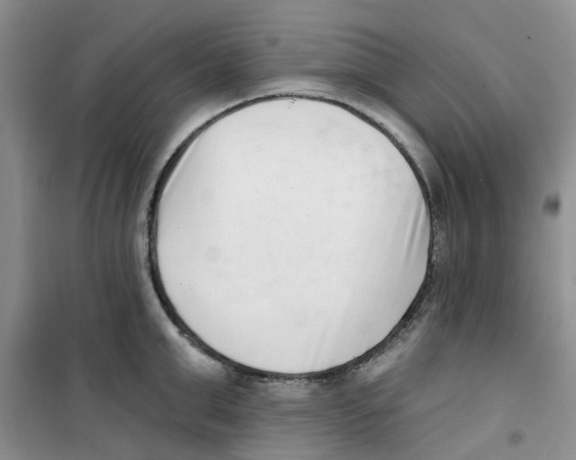 X0000100960999200807221140