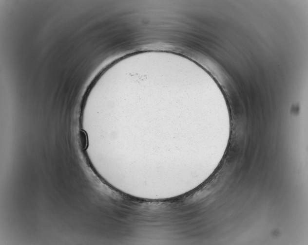 X0000100961000200807221140