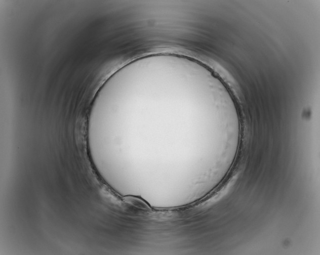 X0000100961001200807221140