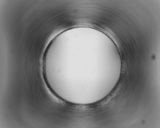 X0000100961003200807221140