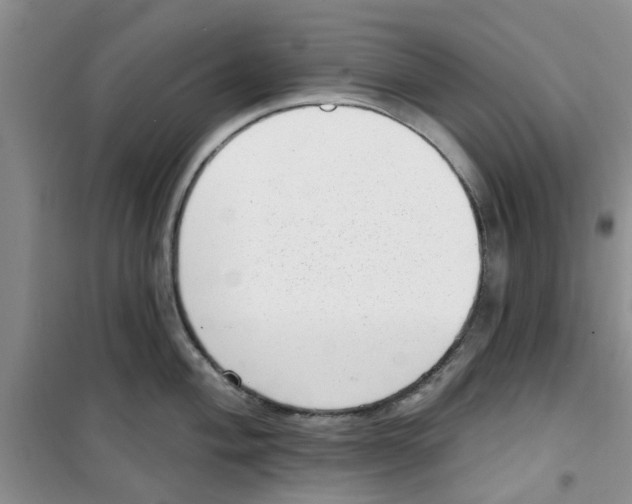 X0000100961004200807221140