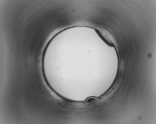 X0000100961005200807221140