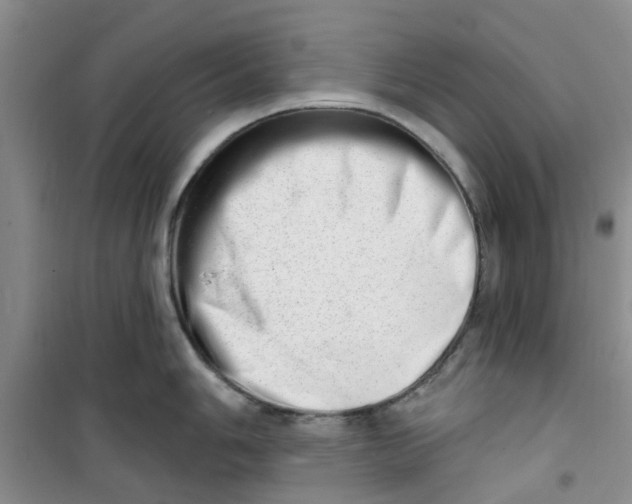 X0000100961006200807221140