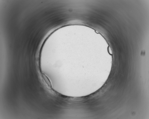 X0000100961008200807221140