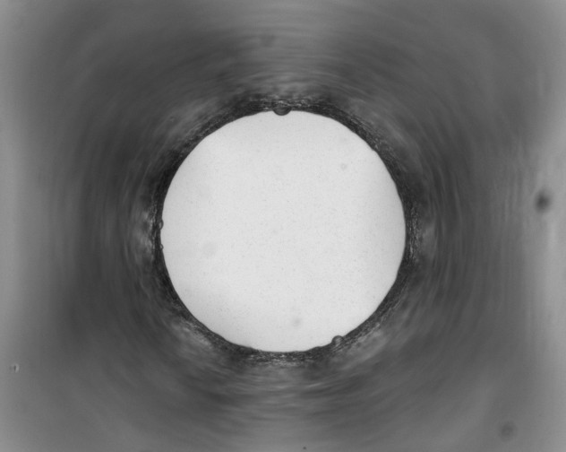 X0000100961010200807221140