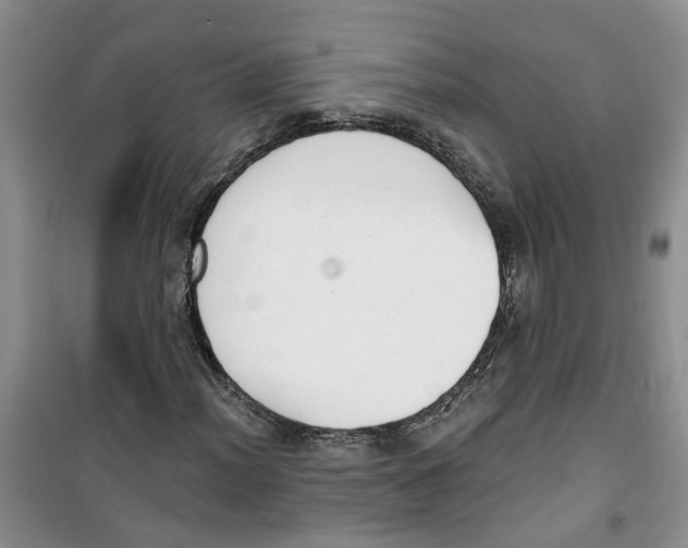 X0000100961012200807221140