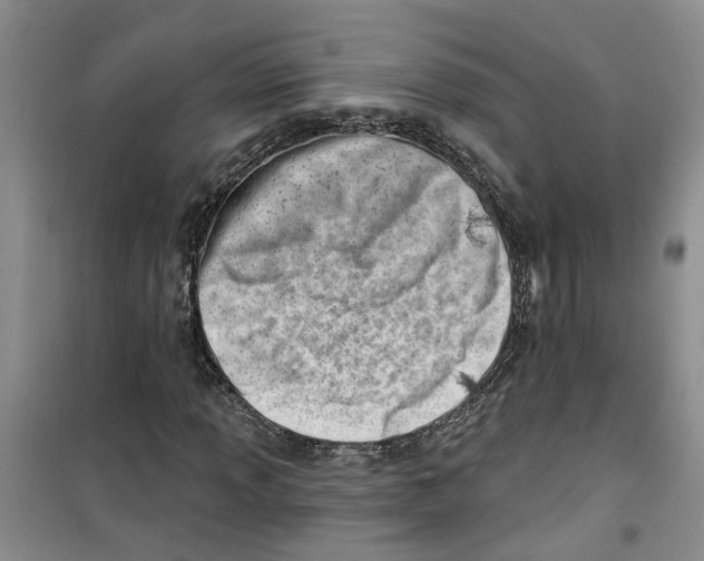 X0000100961013200807221140