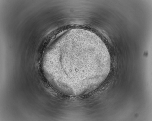 X0000100961015200807221140