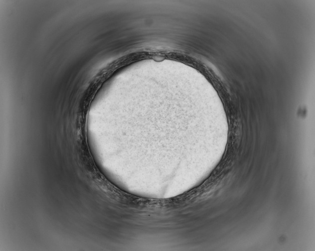 X0000100961016200807221140