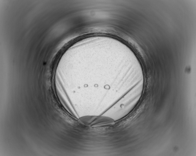 X0000100961019200807221140