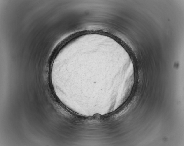 X0000100961021200807221140