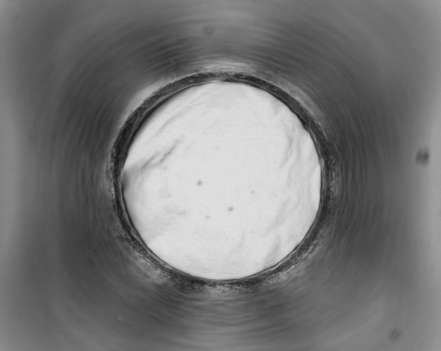 X0000100961022200807221140