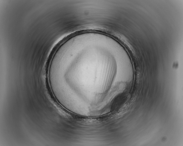 X0000100961024200807221140