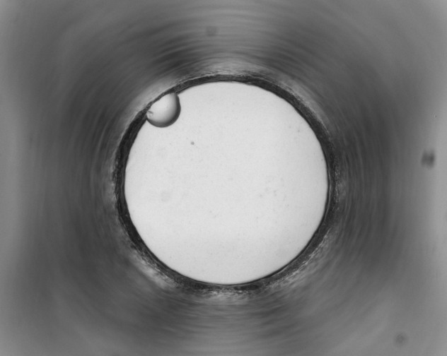 X0000100961026200807221140