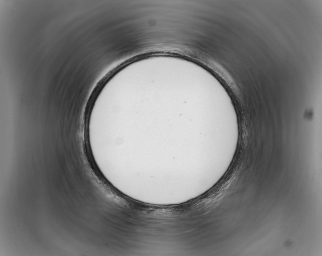 X0000100961028200807221140