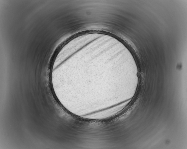 X0000100961029200807221140