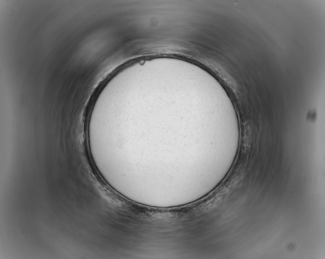 X0000100961031200807221140