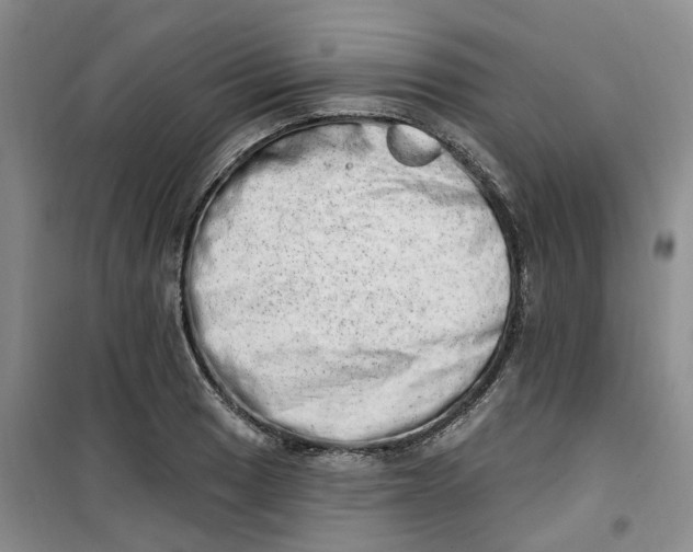 X0000100961033200807221140