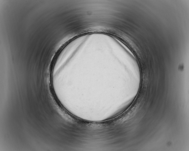 X0000100961034200807221140