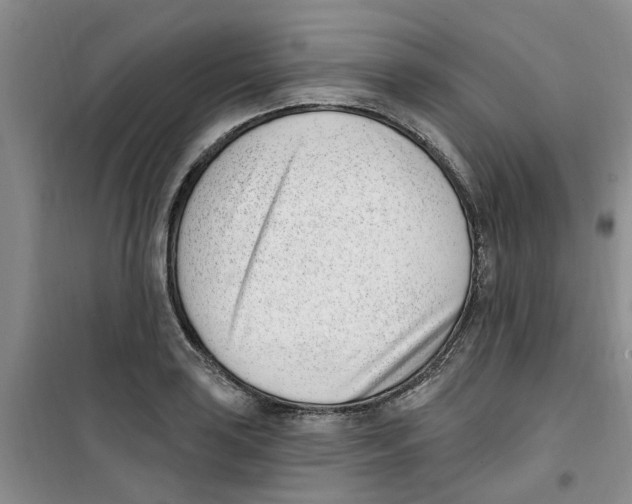 X0000100961035200807221140