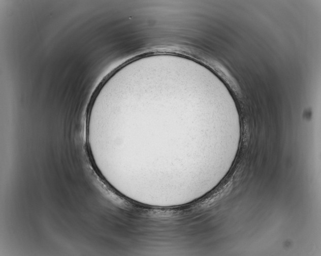 X0000100961036200807221140