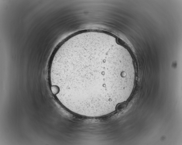 X0000100961037200807221140