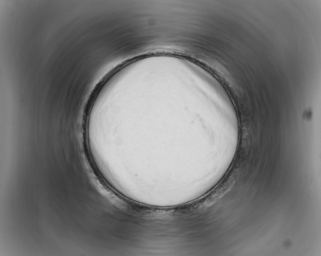 X0000100961038200807221140