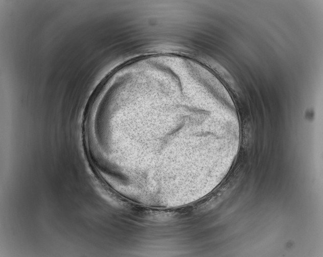 X0000100961039200807221140