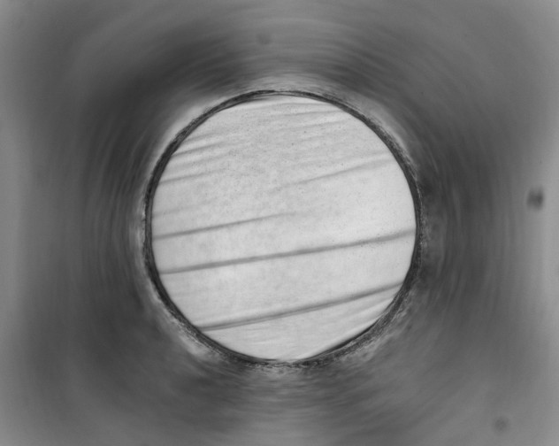 X0000100961040200807221140